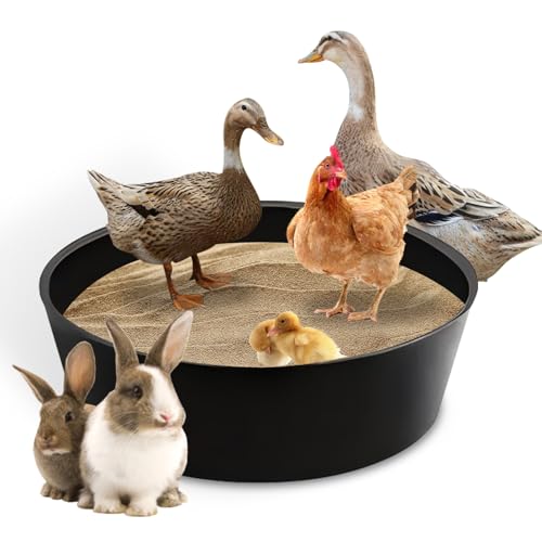 Hühnerstaub-Badewanne, 25 X 5,9'' Hühnerstaubbadewanne, Staubbad Für Hühner, Bodenloses Design, Einstellbare Hühnerstaubbad Sandbadewannen Mit 6 Nägeln, Hühnerkalkstreubehälter Für Enten, Truthähne Hühnerstaub-Badewanne, 25 X 5,9'' Hühnerstaubbadewanne, Staubbad Für Hühner, Bodenloses Design, Einstellbare Hühnerstaubbad Sandbadewannen Mit 6 Nägeln, Hühnerkalkstreubehälter Für Enten, Truthähne von PORFOYO