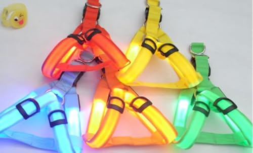 Hundegeschirr Leuchtend,2 LED Hundegeschirr Wiederaufladbar, 3 Einstellbare Modus, Reflektierend Leuchtgeschirr für Hunde Nachtspaziergänge, Geeignet für Kleine bis Mittelgroße Hunde (Orange+Grün,M) Hundegeschirr Leuchtend,2 LED Hundegeschirr Wiederaufladbar, 3 Einstellbare Modus, Reflektierend Leuchtgeschirr für Hunde Nachtspaziergänge, Geeignet für Kleine bis Mittelgroße Hunde (Orange+Grün,M) von PORFOYO