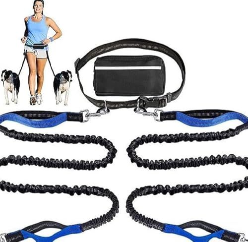 Joggingleine Hunde, Joggingleine Für 2 Hunde Mit Bauchgurt, Bauchgurt Hundeleine, Doppelleine Freihändige eleine Mit Reißverschlusstasche Für Dog Leash Für Laufen,Schwarzes Gold Joggingleine Hunde, Joggingleine Für 2 Hunde Mit Bauchgurt, Bauchgurt Hundeleine, Doppelleine Freihändige eleine Mit Reißverschlusstasche Für Dog Leash Für Laufen,Schwarzes Gold von PORFOYO