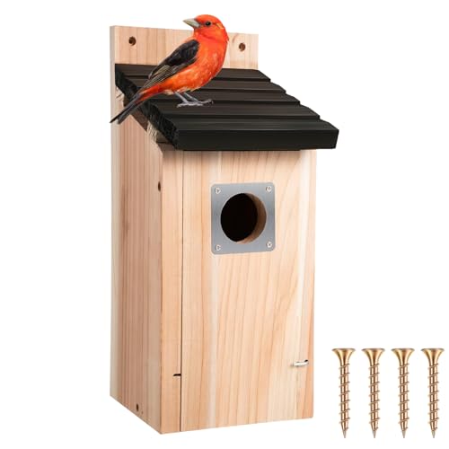Nistkästen Für Vögel, Nistkasten Für Wildvögel, Stabiler Nistkasten Für Wildvögel, Nisthöhle, Aufhängen Kiefernholz Vogelhaus, Wetterfest Zum Aufhängen, Für Draußen von PORFOYO