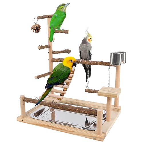 PORFOYO Vogel Spielständer, Wellensittich Spielplatz mit Leiter Schaukel, 37 x 26 x 37 cm Holz Papageienständer, Papageien-Spielständer für Kleine Sittiche, Cockatiels, Kegel, Finken, Budgie von PORFOYO