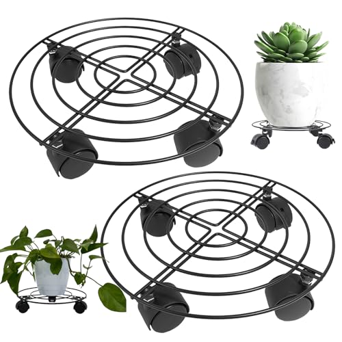 Pflanzenroller Rund, 2 Stück Rollbrett Pflanzen für Indoor, Outdoor Stabiler Kübelroller, Pflanzenroller Outdoor mit 360° Drehbaren Rädern und 32cm Rollbrett für Pflanzen Blumentopf Untersetzerr Pflanzenroller Rund, 2 Stück Rollbrett Pflanzen für Indoor, Outdoor Stabiler Kübelroller, Pflanzenroller Outdoor mit 360° Drehbaren Rädern und 32cm Rollbrett für Pflanzen Blumentopf Untersetzerr von PORFOYO