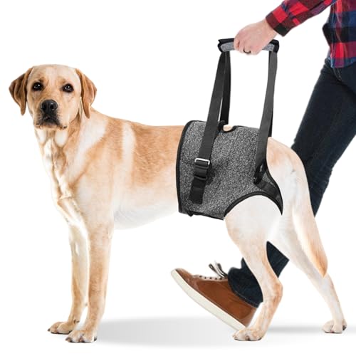 Tragehilfe Hund, Hunde Tragehilfe, Hund Beinhalterung, Tragegurt, Tragegeschirr Hundeschlinge, Groß Für Hunde Für Mittel Schwache Hinterbeine Senior(Dunkelgrau36-52 Catties) von PORFOYO