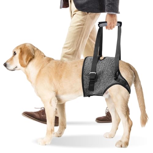 Tragehilfe Hund Hundehebegeschirr Tragegeschirr Hundeschlinge: Hundestützgeschirr Für Die Hinterbeine Mit Handgriff, Verstellbare Gehhilfe Für Verletzte Behinderte Kleine Mittlere Große Hunde (L) von PORFOYO
