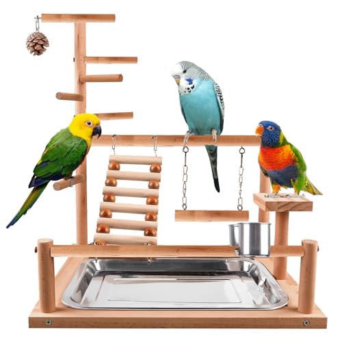 Wellensittich Spielplatz,Vogelspielplatz aus Holz,Papageienspielständer mit Feeder Cup,Spielzeug Leiter Erklimmen Schaukel und Tablett,Vogelspielzeug Spielplatz Vogel-Spielplatz,Papageienspielzeug von PORFOYO