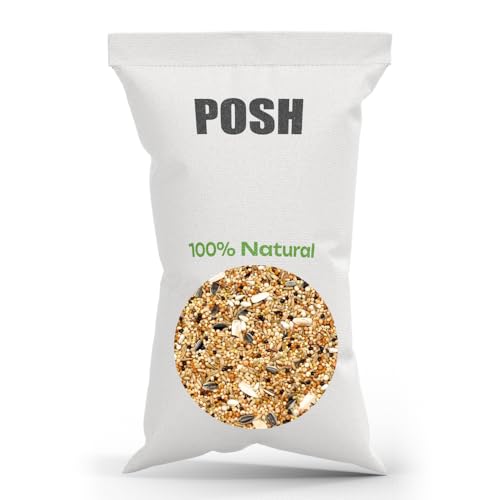 Papageienfutter 10kg Papageien Universal Futter mit Vitaminen für Papageien Natürlich & nährstoffreich Papageienfutter 10kg Papageien Universal Futter mit Vitaminen für Papageien Natürlich & nährstoffreich von POSH