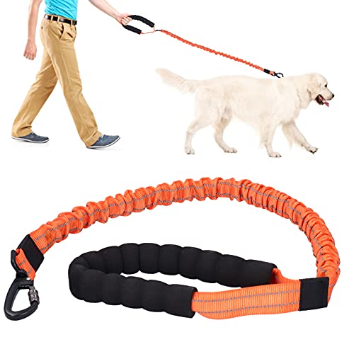 POTRUWE Outdoor-Trainingsleine für Haustiere, Nylon, Reflektierende Leine, Elastische Hundeleine für Kleine, Mittelgroße und Große Hunde für das Hunde- und Welpentraining (Orange) von POTRUWE