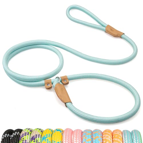 POUPUA Strapazierfähige Hundeleine, 1,8 m, strapazierfähig, 0,95 cm und 1,27 cm, starkes Seil für kleine, mittelgroße und große Hunde, kein Ziehen, Trainingsleine mit reflektierenden Fäden POUPUA Strapazierfähige Hundeleine, 1,8 m, strapazierfähig, 0,95 cm und 1,27 cm, starkes Seil für kleine, mittelgroße und große Hunde, kein Ziehen, Trainingsleine mit reflektierenden Fäden von POUPUA