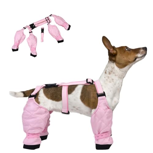 Hundestiefel und Pfotenschutz, Hundepfotenstiefel, Leggings, Hundeschuhe für den Winter, wasserdichte Hundeschuhe, rutschfeste Hundeschuhe, schmutzdicht, für den Winter, Outdoor, Spazierengehen, Hundestiefel und Pfotenschutz, Hundepfotenstiefel, Leggings, Hundeschuhe für den Winter, wasserdichte Hundeschuhe, rutschfeste Hundeschuhe, schmutzdicht, für den Winter, Outdoor, Spazierengehen, von POVVFRTY