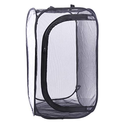 Poxl Insekt Und Schmetterling Habitat Käfig Schwarz Faltbare Schutz Käfig Mesh Terrarium Pop-Up Poxl Insekt Und Schmetterling Habitat Käfig Schwarz Faltbare Schutz Käfig Mesh Terrarium Pop-Up von POXL