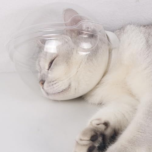 POYHKFD Katzenmaulkorb, Transparenter Katzenmaulkorb, Atmungsaktiv, Katzenmaulkorb Zur Fellpflege, Verhindert Beißendes Lecken, Verstellbarer Katzenhaubenhelm, Katzenblasenmaske Zum Baden, Rasieren Vo POYHKFD Katzenmaulkorb, Transparenter Katzenmaulkorb, Atmungsaktiv, Katzenmaulkorb Zur Fellpflege, Verhindert Beißendes Lecken, Verstellbarer Katzenhaubenhelm, Katzenblasenmaske Zum Baden, Rasieren Vo von POYHKFD