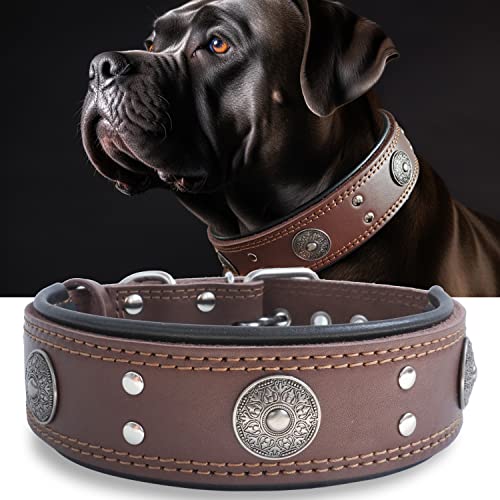 Hundehalsband, Leder, 5,1 cm breit, strapazierfähig, echtes Leder, handgefertigt, weich und luxuriös, auffällig, beste Wahl für große und mittelgroße Hunde, 41,9–52,1 cm von PP COLOR