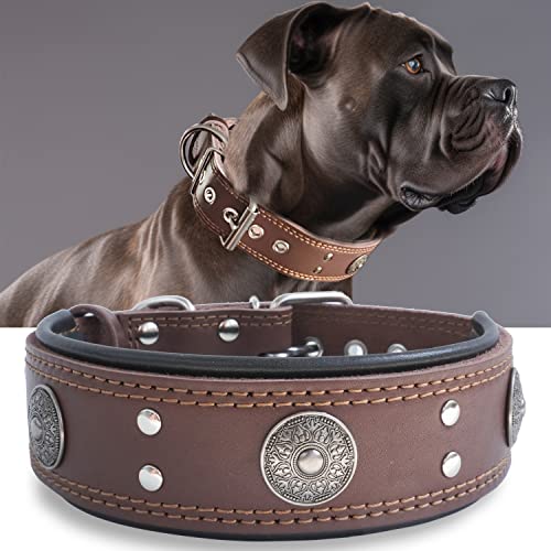 Hundehalsband, Leder, 5,1 cm breit, strapazierfähig, echtes Leder, handgefertigt, weich und luxuriös, auffällig, beste Wahl für große und mittelgroße Hunderassen, 57,1–67,3 cm von PP COLOR