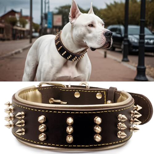 Hundehalsband aus Leder mit Spikes, handgefertigt, 5,6 cm breit, mutiger Schutz und stilvolles Design, ideal für kraftvolle Rassen, Goldbraun, 42,4–52,3 cm Hundehalsband aus Leder mit Spikes, handgefertigt, 5,6 cm breit, mutiger Schutz und stilvolles Design, ideal für kraftvolle Rassen, Goldbraun, 42,4–52,3 cm von PP COLOR