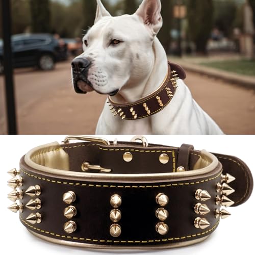 Hundehalsband aus Leder mit Spikes, handgefertigt, 5,6 cm breit, mutiger Schutz und stilvolles Design, ideal für kraftvolle Rassen, Goldbraun, 50 - 60 cm Hundehalsband aus Leder mit Spikes, handgefertigt, 5,6 cm breit, mutiger Schutz und stilvolles Design, ideal für kraftvolle Rassen, Goldbraun, 50 - 60 cm von PP COLOR