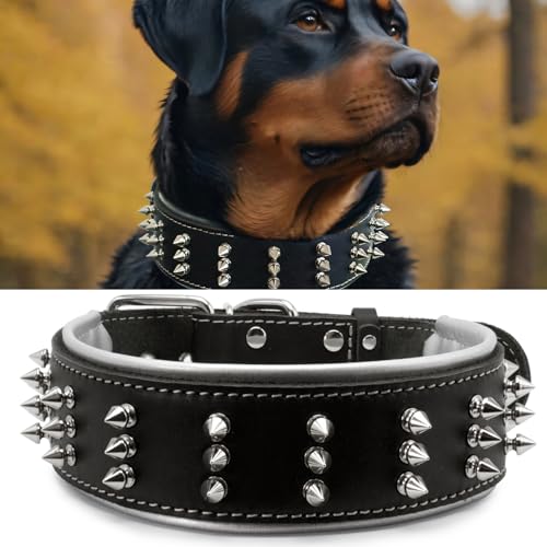 Hundehalsband aus Leder mit Stacheln, handgefertigt, 5,6 cm breit, mutiger Schutz und stilvolles Design, ideal für kraftvolle Rassen, silberfarbener Schatten, 42,4–52,3 cm Hundehalsband aus Leder mit Stacheln, handgefertigt, 5,6 cm breit, mutiger Schutz und stilvolles Design, ideal für kraftvolle Rassen, silberfarbener Schatten, 42,4–52,3 cm von PP COLOR