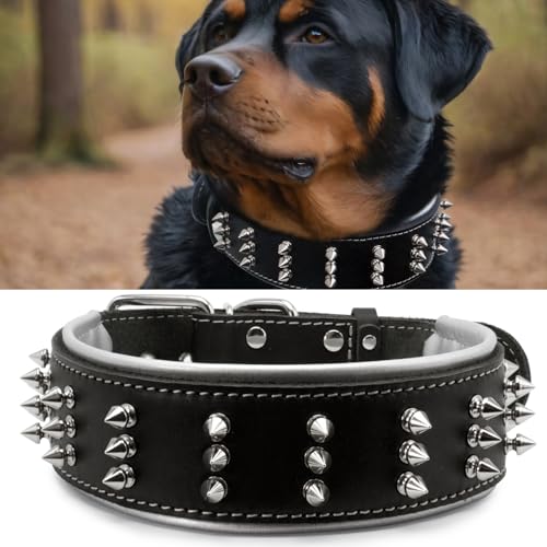 Hundehalsband aus Leder mit Stacheln, handgefertigt, 5,6 cm breit, mutiger Schutz und stilvolles Design, ideal für kraftvolle Rassen, silberner Schatten, 50 - 60 cm Hundehalsband aus Leder mit Stacheln, handgefertigt, 5,6 cm breit, mutiger Schutz und stilvolles Design, ideal für kraftvolle Rassen, silberner Schatten, 50 - 60 cm von PP COLOR