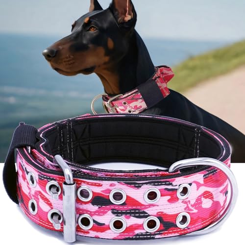 Hundehalsband für große Hunde, 5,1 cm breit, taktisches Halsband mit Griff für extra große Rassen, Militär, strapazierfähig, 0,6 cm Dickes Nylon, Camouflage-Rosa, Größe M Hundehalsband für große Hunde, 5,1 cm breit, taktisches Halsband mit Griff für extra große Rassen, Militär, strapazierfähig, 0,6 cm Dickes Nylon, Camouflage-Rosa, Größe M von PP COLOR