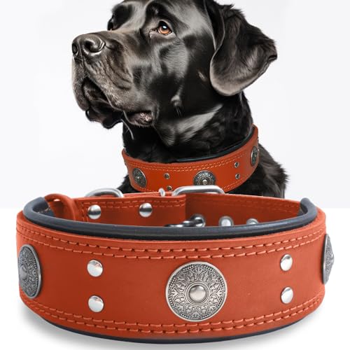 Leder-Hundehalsband, 5,1 cm breit, strapazierfähig, echtes Leder, handgefertigt, weich und luxuriös, ein Blickfang, beste Wahl für große und mittelgroße Hunde, Orange, 41,9–52,1 cm von PP COLOR