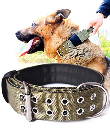 PP COLOR Hundehalsband für große Hunde – 5,1 cm breite Taktische Halsbänder mit Griff extra Hunderassen, Camouflage, strapazierfähig, 0,6 Dickes Welpenhalsband, K9 Nylon, Haustierhalsband L PP COLOR Hundehalsband für große Hunde – 5,1 cm breite Taktische Halsbänder mit Griff extra Hunderassen, Camouflage, strapazierfähig, 0,6 Dickes Welpenhalsband, K9 Nylon, Haustierhalsband L von PP COLOR