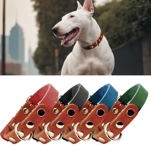 PP COLOR Premium-Hundehalsband aus echtem Leder, langlebig, 4,5 mm dick, farbblockierendes Design mit rotgoldenen Beschlägen, erhältlich in 4 Größen für kleine, mittelgroße und große Hunde, Schwarz, PP COLOR Premium-Hundehalsband aus echtem Leder, langlebig, 4,5 mm dick, farbblockierendes Design mit rotgoldenen Beschlägen, erhältlich in 4 Größen für kleine, mittelgroße und große Hunde, Schwarz, von PP COLOR