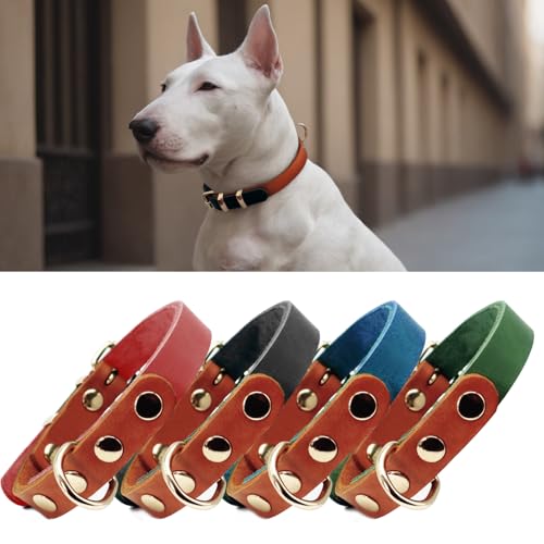 PP COLOR Premium-Hundehalsband aus echtem Leder, langlebig, 4,5 mm dick, farbblockierendes Design mit rotgoldenen Beschlägen, erhältlich in 4 Größen für kleine, mittelgroße und große Hunde, Schwarz, PP COLOR Premium-Hundehalsband aus echtem Leder, langlebig, 4,5 mm dick, farbblockierendes Design mit rotgoldenen Beschlägen, erhältlich in 4 Größen für kleine, mittelgroße und große Hunde, Schwarz, von PP COLOR