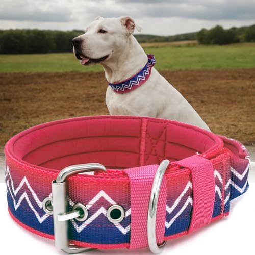 PP COLOR Premium NeckShield Kontrollhalsband, 5,1 cm breit, mit ultradicker Druckentlastungspolsterung, SGS-zertifizierte Sicherheit, professioneller Schutz für große und riesige Rassen, Baumwolle PP COLOR Premium NeckShield Kontrollhalsband, 5,1 cm breit, mit ultradicker Druckentlastungspolsterung, SGS-zertifizierte Sicherheit, professioneller Schutz für große und riesige Rassen, Baumwolle von PP COLOR