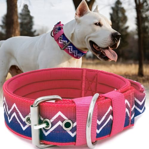 PP COLOR Premium NeckShield Kontrollhalsband, 5,1 cm breit, mit ultradicker Druckentlastungspolsterung, SGS-zertifizierte Sicherheit, professioneller Schutz für große und riesige Rassen, Baumwolle PP COLOR Premium NeckShield Kontrollhalsband, 5,1 cm breit, mit ultradicker Druckentlastungspolsterung, SGS-zertifizierte Sicherheit, professioneller Schutz für große und riesige Rassen, Baumwolle von PP COLOR