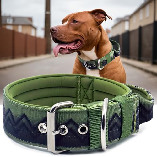 PP COLOR Premium NeckShield Kontrollhalsband, 5,1 cm breit mit ultradicker Druckentlastungspolsterung, SGS-zertifizierte Sicherheit, professioneller Schutz für große und riesige Rassen, Nachtdschungel PP COLOR Premium NeckShield Kontrollhalsband, 5,1 cm breit mit ultradicker Druckentlastungspolsterung, SGS-zertifizierte Sicherheit, professioneller Schutz für große und riesige Rassen, Nachtdschungel von PP COLOR