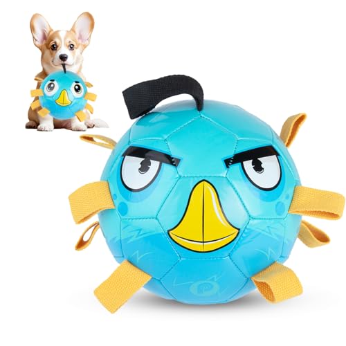 PP PICADOR Haustier-Fußball, Größe 3 (blauer Pinguin) von PP PICADOR