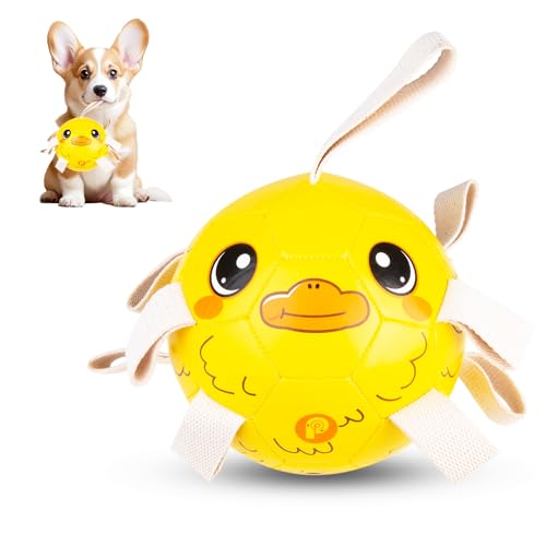PP PICADOR Hundespielzeug, Fußball, interaktive Hundebälle, Welpen, Geburtstagsgeschenke, langlebige Hütebälle für kleine, mittelgroße Hunde, Spielzeug zum Tauziehen (15,2 cm) von PP PICADOR