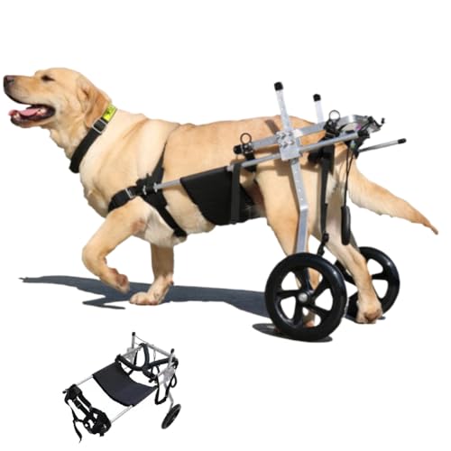 PP-Vic 2 Rad EIN Verstellbares Radrollstuhl Mit Hinterbein, Einstellbarer Hund Rollstuhl, Hunde Vollstütze Hilfe, Behinderte Hundeassistent Walker, Leichte Haustierausrüstung,L PP-Vic 2 Rad EIN Verstellbares Radrollstuhl Mit Hinterbein, Einstellbarer Hund Rollstuhl, Hunde Vollstütze Hilfe, Behinderte Hundeassistent Walker, Leichte Haustierausrüstung,L von PP-Vic