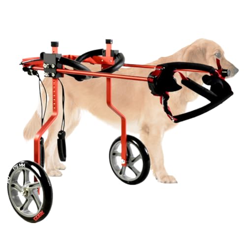 PP-Vic Hunde Hinterbeine Hund Rollstuhl, Behinderung des Hintergradens, Lähmung Pet Walker, Einstellbare Leichte Katzenrollstuhl, Haustierlaufrad Für Die Sportrehabilitation,Red XXL von PP-Vic