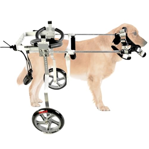 PP-Vic Hunde Hinterbeine Hund Rollstuhl, Behinderung des Hintergradens, Lähmung Pet Walker, Einstellbare Leichte Katzenrollstuhl, Haustierlaufrad Für Die Sportrehabilitation,White xs von PP-Vic