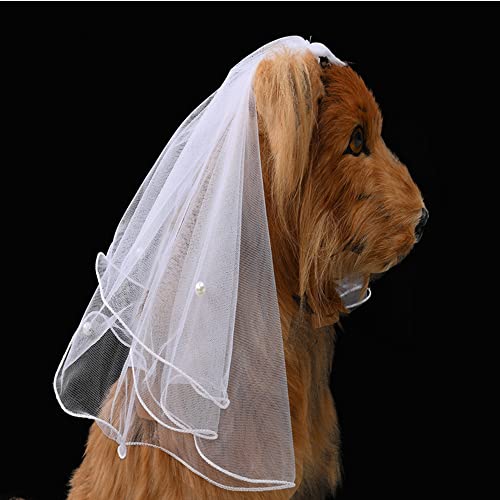 Haustier Hochzeit Schleier Katze Hund Braut Blume Kopfschmuck Hund Hochzeiten Partys Haarschmuck für kleine, mittelgroße und große Hunde (1: weiß) von PQIQP