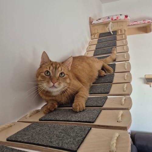Brücke für Katzen mit Sisalseil und Filz. Wand- und Deckenregale sowie Betten hinzufügen. (L: 145.5 cm) von PRASKA