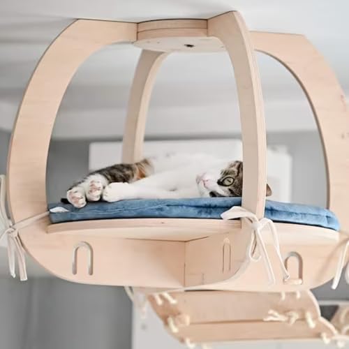 Deckenregal mit Katzenmotiv. Wandmöbel mit Katzenmotiv, Bett und Kissen. Brücken und Regale hinzufügen. Wählen Sie die Farben für Sperrholz und Stoff. Deckenregal mit Katzenmotiv. Wandmöbel mit Katzenmotiv, Bett und Kissen. Brücken und Regale hinzufügen. Wählen Sie die Farben für Sperrholz und Stoff. von PRASKA