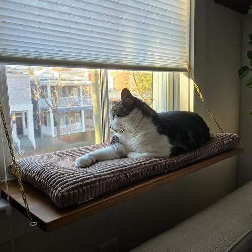 Fensterbank, Fensterbankmatte, Katzenbett. Größe wählen! Länge 50–120 cm x Breite 20–30 cm! Fenstersitz, Kissen, Polster. Farbe wählen. (Mehrfarbig, Länge - Bereich auswählen - 61-70 cm) von PRASKA