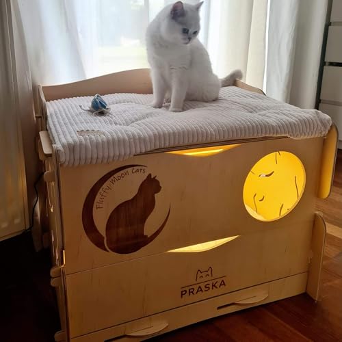 Madame Premium - Katzenwurfbox für Züchter. Entbindungsstation, Kätzchen. Wurf- und Entwöhnungsbox. Hartholzsperrholz. Eingraviertes Logo und Name der Zwinger. Madame Premium - Katzenwurfbox für Züchter. Entbindungsstation, Kätzchen. Wurf- und Entwöhnungsbox. Hartholzsperrholz. Eingraviertes Logo und Name der Zwinger. von PRASKA