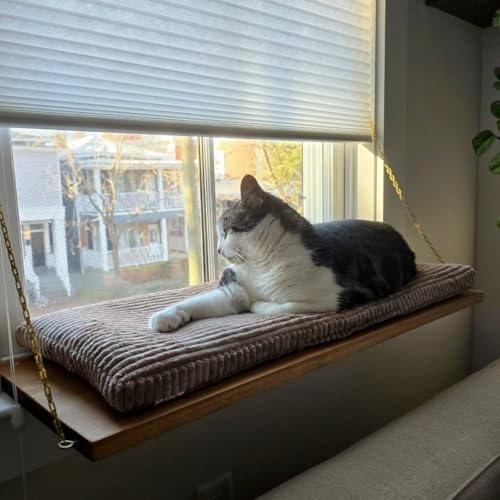 PRASKA® Katzen Fensterliege 140x28cm Weiches Katzenbett für die Fensterbank Flaschengrün - Premium Fensterbett Katze flauschig fürs Fenster, Waschbar Fensterbrettliege, Katzen Fensterbankliege von PRASKA