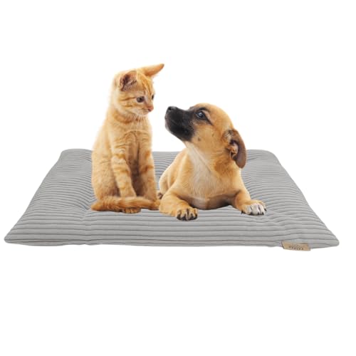 PRASKA Hundematte Katzenkissen für Große und Kleine Hunde oder Katzen Rechteckig 60x40cm Premium Handcraft Katzenbett, Katzenkissen Hellgrau - Katzenbettchen Tierbett für Katzen PRASKA Hundematte Katzenkissen für Große und Kleine Hunde oder Katzen Rechteckig 60x40cm Premium Handcraft Katzenbett, Katzenkissen Hellgrau - Katzenbettchen Tierbett für Katzen von PRASKA