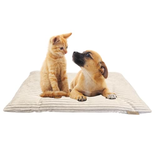 PRASKA Hundematte Katzenkissen für Große und Kleine Hunde oder Katzen Rechteckig 60x40cm Premium Handcraft Katzenbett, Katzenkissen Milchig - Katzenbettchen Tierbett für Katzen PRASKA Hundematte Katzenkissen für Große und Kleine Hunde oder Katzen Rechteckig 60x40cm Premium Handcraft Katzenbett, Katzenkissen Milchig - Katzenbettchen Tierbett für Katzen von PRASKA
