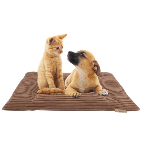 PRASKA Hundematte Katzenkissen für Große und Kleine Hunde oder Katzen Rechteckig 70x100cm Premium Handcraft Katzenbett, Katzenkissen Hellgrau - Katzenbettchen Tierbett für Katzen PRASKA Hundematte Katzenkissen für Große und Kleine Hunde oder Katzen Rechteckig 70x100cm Premium Handcraft Katzenbett, Katzenkissen Hellgrau - Katzenbettchen Tierbett für Katzen von PRASKA
