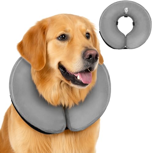 Aufblasbare Halskrause Hund Hundehalsband Leckschutz Hund Hundehalskrause Weich Verstellbares Halsband Blockiert Nicht die Sicht Geeignet für Tierwunden,Die Genesung Nach Operationen(Grau M) von PRBUEHI