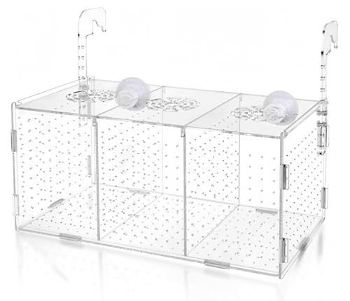 Laichkasten für Aquarium Acryl Aufzuchtbecken Aquarium Ableichbecken Füraufzuchtbecken Aquarium kann zur Isolierung,Truhe für Fischbecken,zum Schlüpfen, zur Fischzucht usw Verwendet Werden Laichkasten für Aquarium Acryl Aufzuchtbecken Aquarium Ableichbecken Füraufzuchtbecken Aquarium kann zur Isolierung,Truhe für Fischbecken,zum Schlüpfen, zur Fischzucht usw Verwendet Werden von PRBUEHI