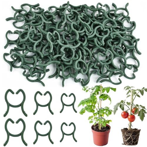 PRBUEHI 300 Stück Pflanzenclips Set 3 Größen Pflanzenclips für Kletterpflanzen Pflanzenclips Tomaten Blumenklammern Spalierklammern Pflanzen Clips Pflanzenringe zur Fixierung Pflanzenstütze von PRBUEHI