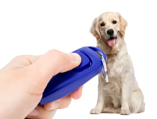 PRECORN 2in1 Klicker und Hunde-Pfeife blau Clickertraining Hundeerziehung Hunde-Clicker von PRECORN