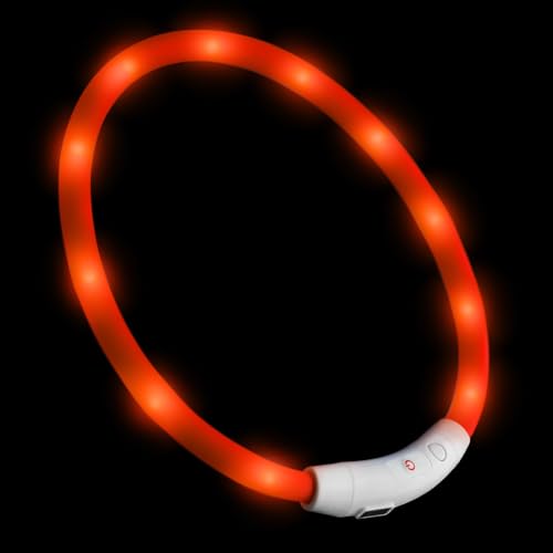 PRECORN LED USB-C Silikon Hundehalsband orange Halsband Hund Katzenhalsband Leuchthalsband für große kleine Hunde aufladbar PRECORN LED USB-C Silikon Hundehalsband orange Halsband Hund Katzenhalsband Leuchthalsband für große kleine Hunde aufladbar von PRECORN