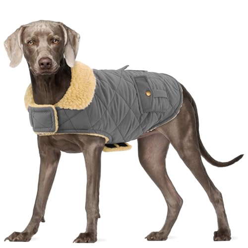 Großer Hundemantel, warme Jacke für extra große Hunde, Wintermantel, winddicht, kaltes Wetter, Hunde-Schneejacke, Haustierkleidung, Golden Retriever, Labrador Retriever, Husky, Grau XL Großer Hundemantel, warme Jacke für extra große Hunde, Wintermantel, winddicht, kaltes Wetter, Hunde-Schneejacke, Haustierkleidung, Golden Retriever, Labrador Retriever, Husky, Grau XL von PREFERHOUSE
