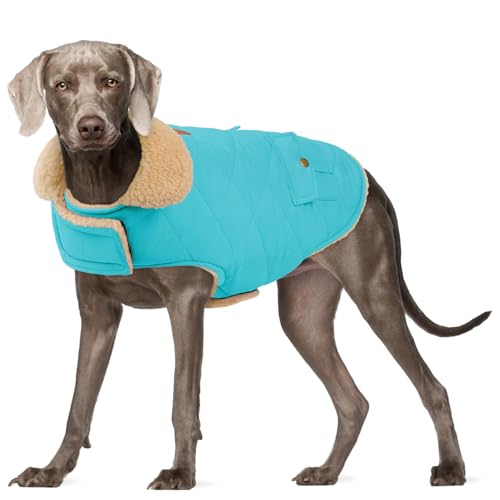 Hunde-Winterjacke für extra große Hunde, winddicht, kaltes Wetter, Haustierkleidung, Schneejacke, Golden Retriever, Labrador Retriever, Husky, Blau, Größe XL von PREFERHOUSE